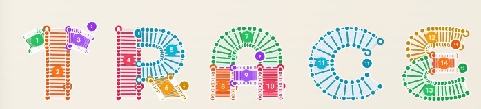 Trace editor showing TRACE lettering divided into numbered satin columns, with colored rails, edge points and guide lines beside Let Trace handle it.